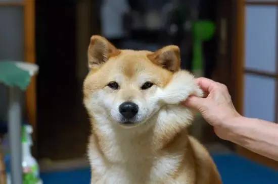 broken image